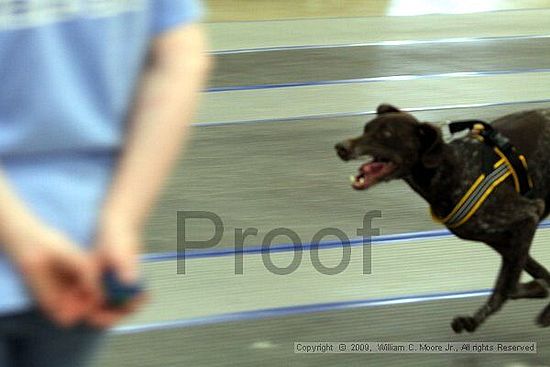 MCRD Heart and Soul FDlyball Tournement<br />February 14th, 2009
