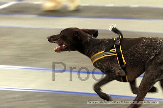 MCRD Heart and Soul FDlyball Tournement<br />February 14th, 2009