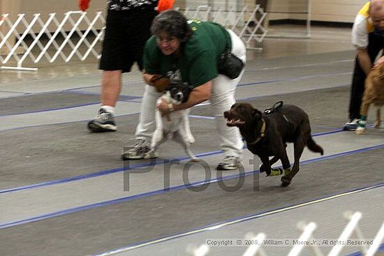 MCRD Heart and Soul FDlyball Tournement<br />February 14th, 2009