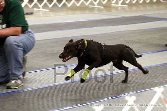 MCRD Heart and Soul FDlyball Tournement<br />February 14th, 2009
