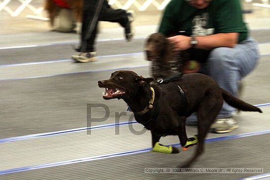 MCRD Heart and Soul FDlyball Tournement<br />February 14th, 2009