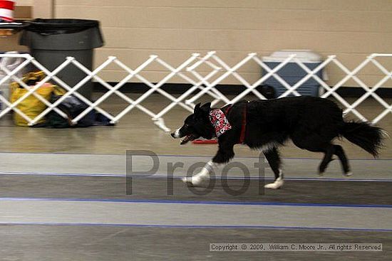 MCRD Heart and Soul FDlyball Tournement<br />February 14th, 2009