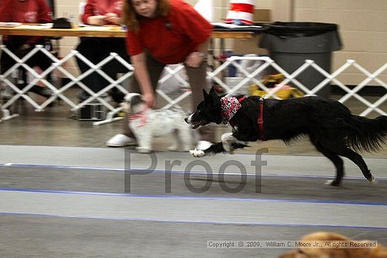 MCRD Heart and Soul FDlyball Tournement<br />February 14th, 2009