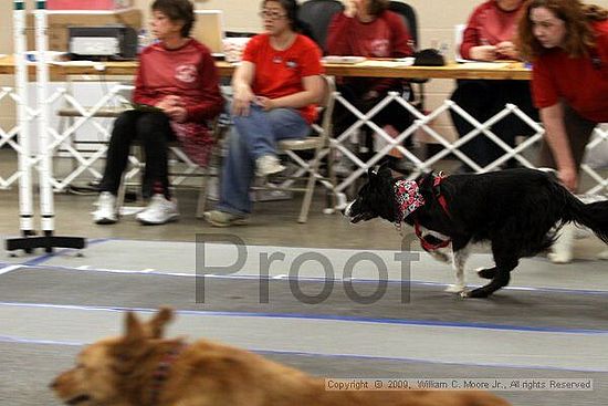 MCRD Heart and Soul FDlyball Tournement<br />February 14th, 2009