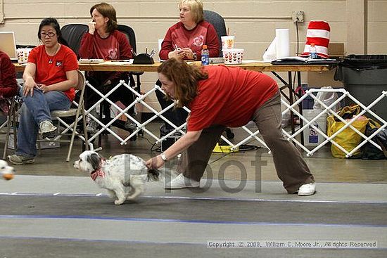 MCRD Heart and Soul FDlyball Tournement<br />February 14th, 2009