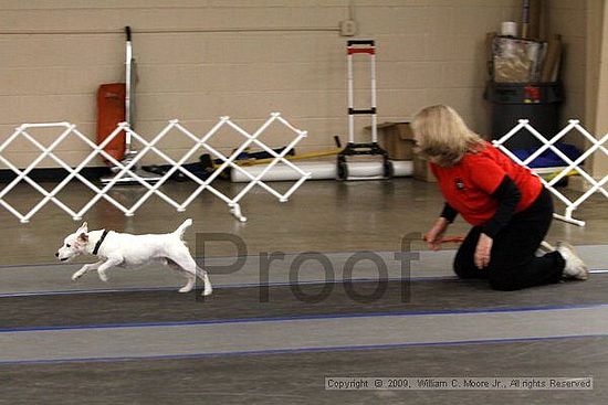 MCRD Heart and Soul FDlyball Tournement<br />February 14th, 2009