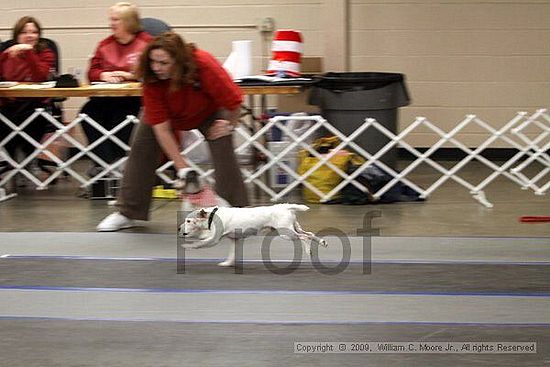 MCRD Heart and Soul FDlyball Tournement<br />February 14th, 2009