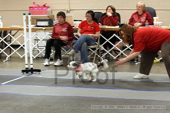 MCRD Heart and Soul FDlyball Tournement<br />February 14th, 2009