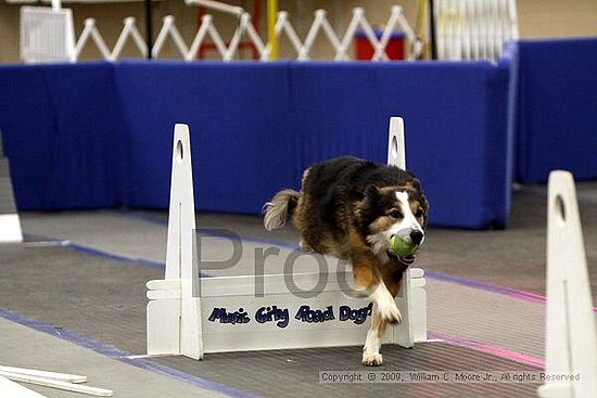 MCRD Heart and Soul FDlyball Tournement<br />February 14th, 2009