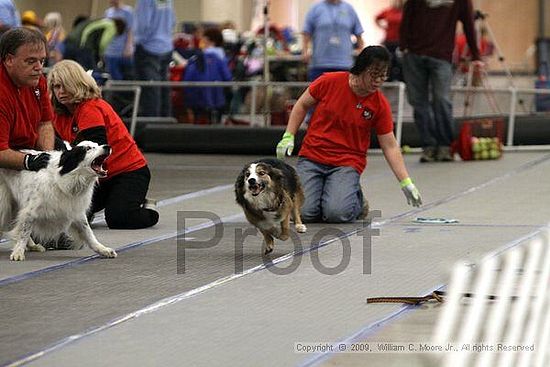 MCRD Heart and Soul FDlyball Tournement<br />February 14th, 2009