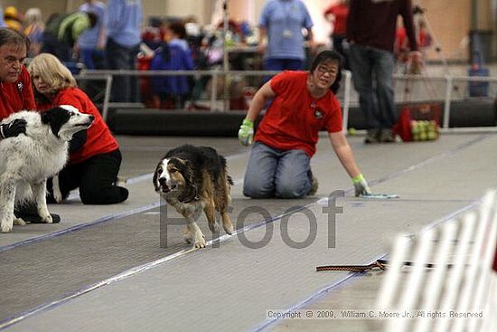MCRD Heart and Soul FDlyball Tournement<br />February 14th, 2009