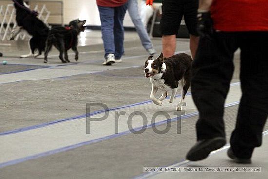 MCRD Heart and Soul FDlyball Tournement<br />February 14th, 2009