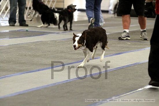 MCRD Heart and Soul FDlyball Tournement<br />February 14th, 2009