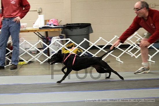 MCRD Heart and Soul FDlyball Tournement<br />February 14th, 2009
