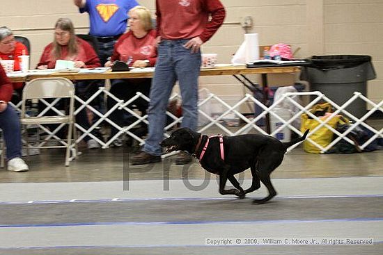 MCRD Heart and Soul FDlyball Tournement<br />February 14th, 2009