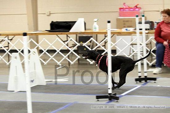 MCRD Heart and Soul FDlyball Tournement<br />February 14th, 2009