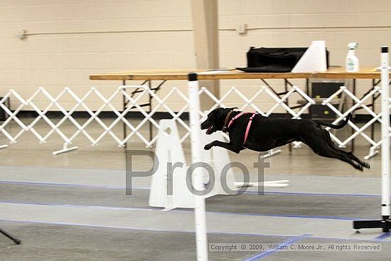 MCRD Heart and Soul FDlyball Tournement<br />February 14th, 2009