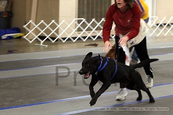 MCRD Heart and Soul FDlyball Tournement<br />February 14th, 2009