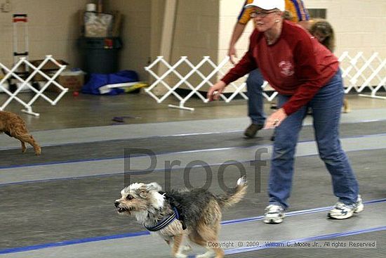 MCRD Heart and Soul FDlyball Tournement<br />February 14th, 2009