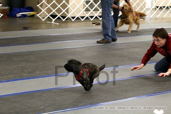 MCRD Heart and Soul FDlyball Tournement<br />February 14th, 2009