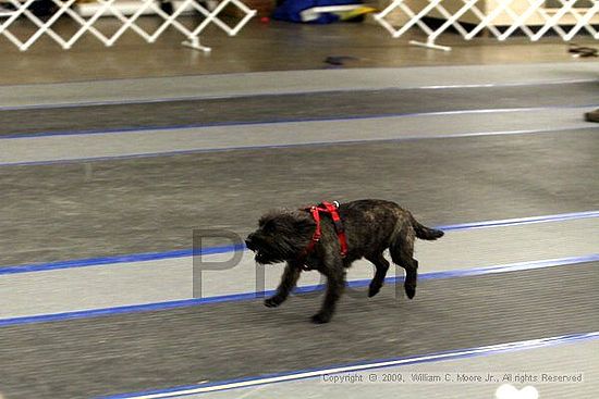 MCRD Heart and Soul FDlyball Tournement<br />February 14th, 2009