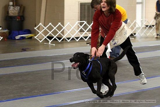 MCRD Heart and Soul FDlyball Tournement<br />February 14th, 2009