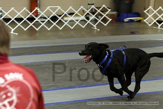 MCRD Heart and Soul FDlyball Tournement<br />February 14th, 2009