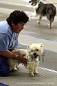 img_2228_thm.jpg