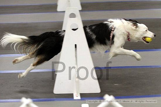 MCRD Heart and Soul FDlyball Tournement<br />February 15th, 2009