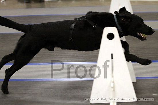 MCRD Heart and Soul FDlyball Tournement<br />February 15th, 2009
