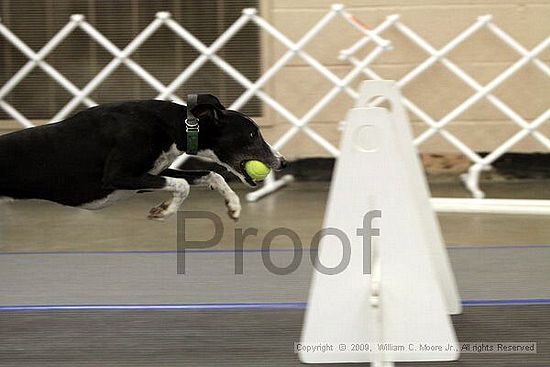 MCRD Heart and Soul FDlyball Tournement<br />February 15th, 2009