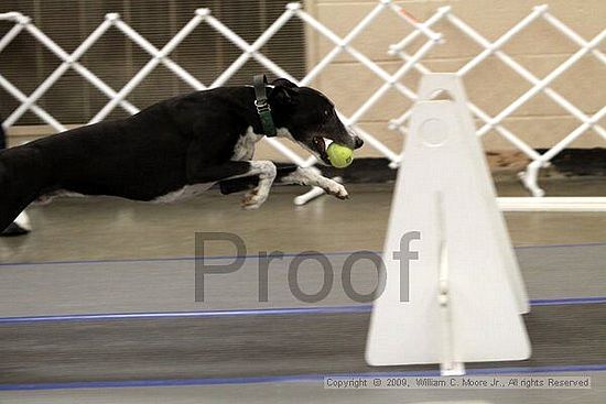 MCRD Heart and Soul FDlyball Tournement<br />February 15th, 2009