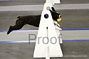 img_2551_thm.jpg