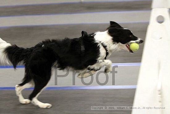 MCRD Heart and Soul FDlyball Tournement<br />February 15th, 2009