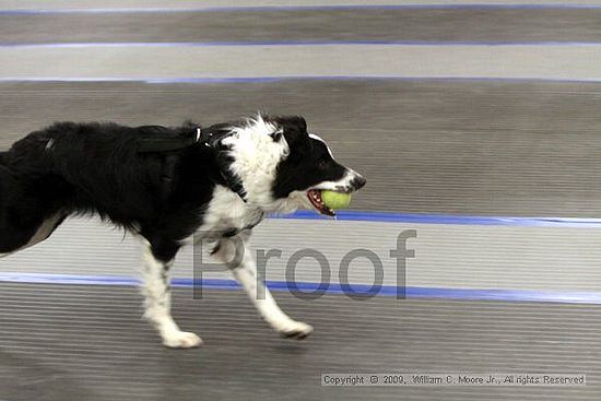 MCRD Heart and Soul FDlyball Tournement<br />February 15th, 2009