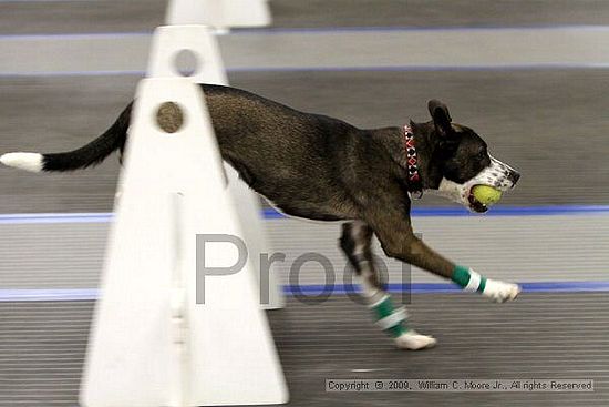 MCRD Heart and Soul FDlyball Tournement<br />February 15th, 2009