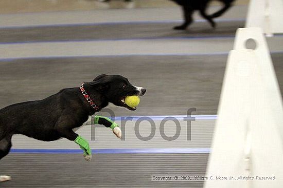 MCRD Heart and Soul FDlyball Tournement<br />February 15th, 2009