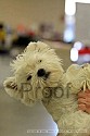 img_2045_thm.jpg