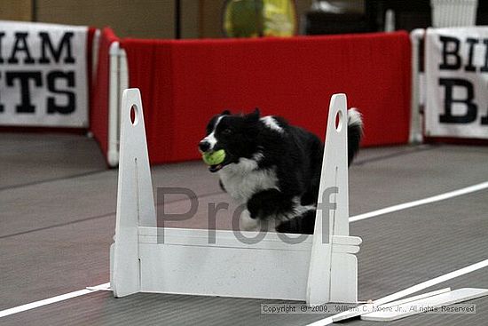 Birmingham Bandits March Madness<br />3/14/2009<br />Shocco Springs, Al