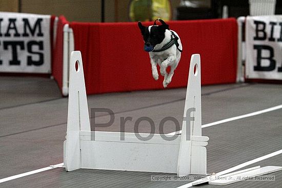 Birmingham Bandits March Madness<br />3/14/2009<br />Shocco Springs, Al