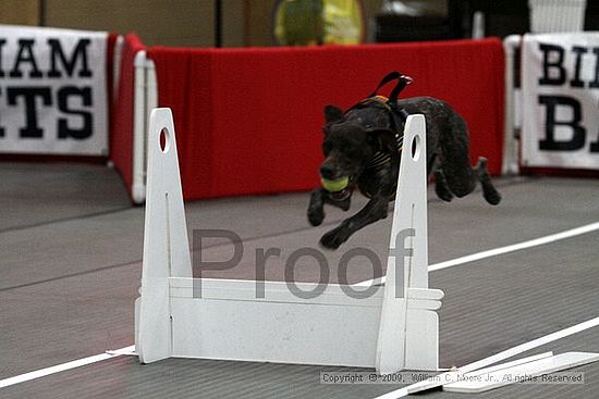 Birmingham Bandits March Madness<br />3/14/2009<br />Shocco Springs, Al