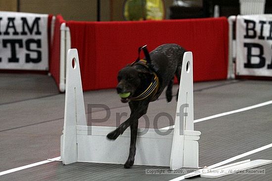 Birmingham Bandits March Madness<br />3/14/2009<br />Shocco Springs, Al