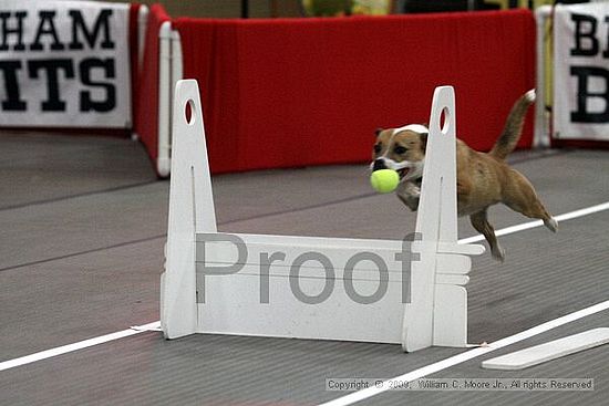 Birmingham Bandits March Madness<br />3/14/2009<br />Shocco Springs, Al