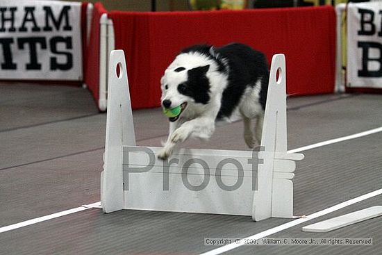 Birmingham Bandits March Madness<br />3/14/2009<br />Shocco Springs, Al