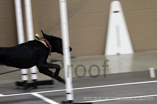 Birmingham Bandits March Madness<br />3/14/2009<br />Shocco Springs, Al