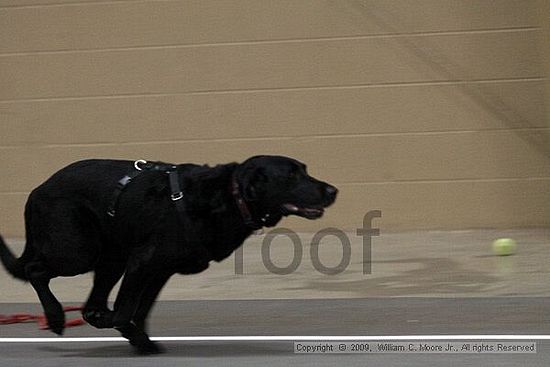 Birmingham Bandits March Madness<br />3/14/2009<br />Shocco Springs, Al