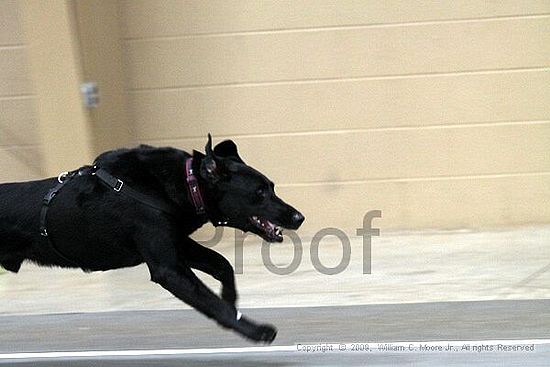 Birmingham Bandits March Madness<br />3/14/2009<br />Shocco Springs, Al