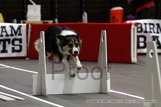 Birmingham Bandits March Madness<br />3/14/2009<br />Shocco Springs, Al