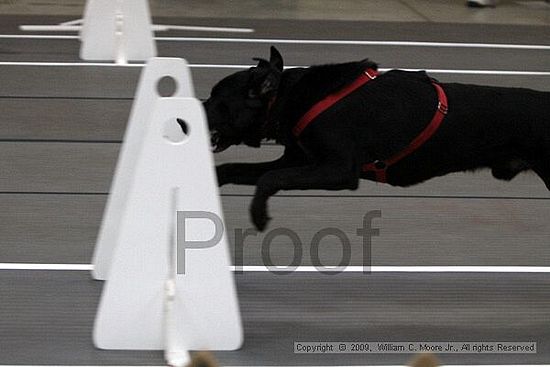 Birmingham Bandits March Madness<br />3/14/2009<br />Shocco Springs, Al