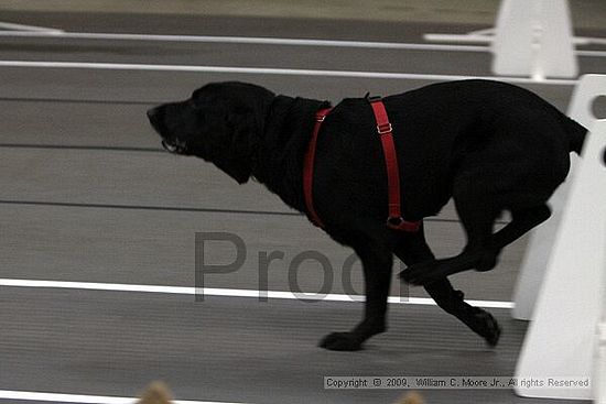 Birmingham Bandits March Madness<br />3/14/2009<br />Shocco Springs, Al